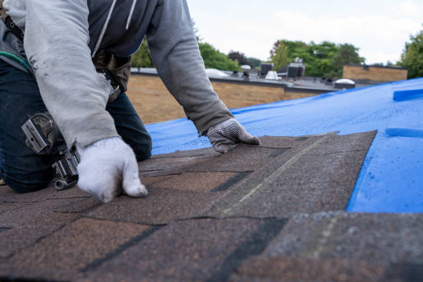 Best Gutter Installation and Roofing  in Wedgefield, SC